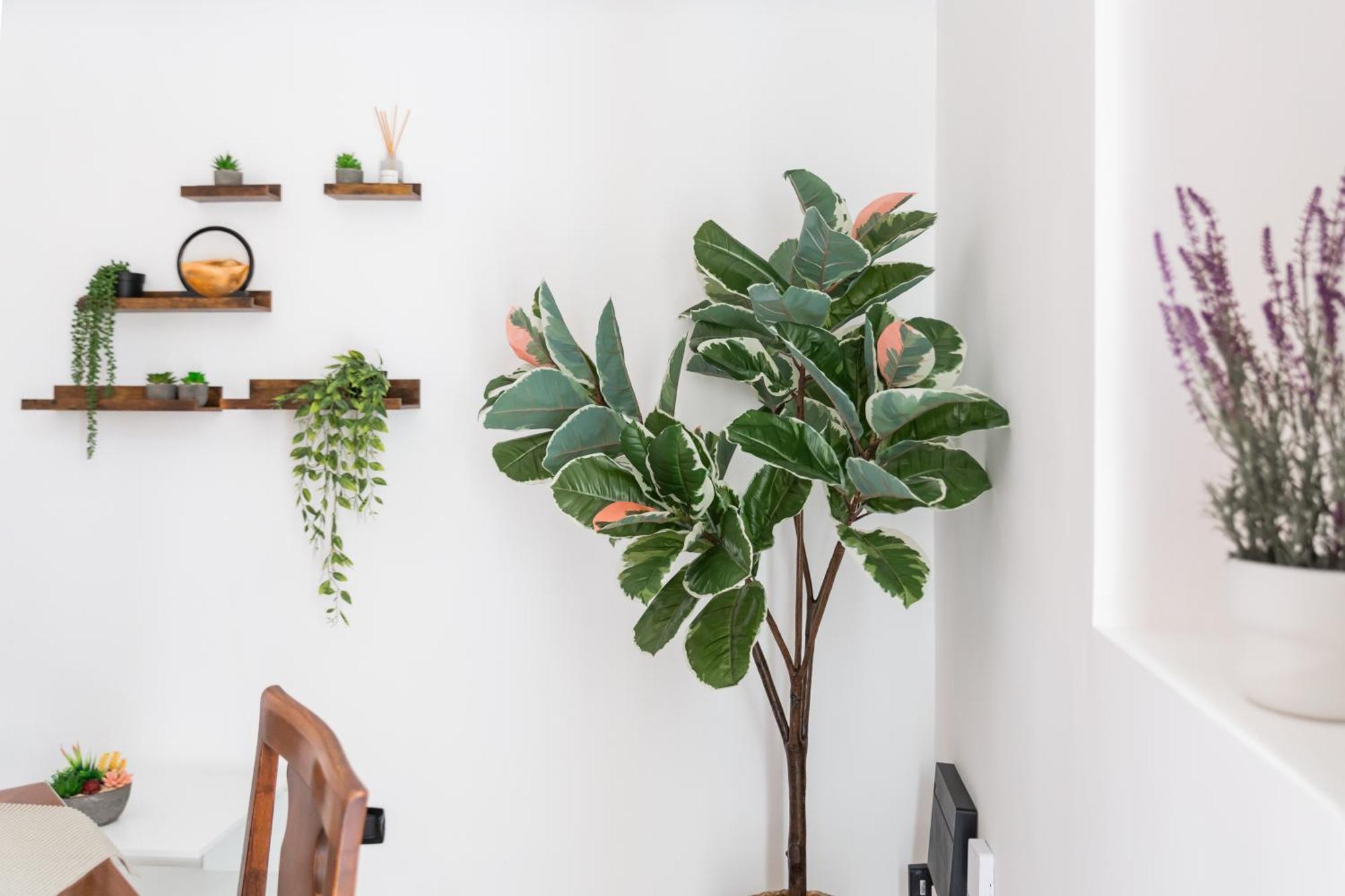 Apartment Covino House By Dimorra